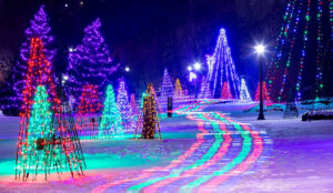 Niagara Falls Winter Festival of Lights